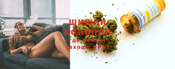 PSILOCYBIN Гусиноозёрск