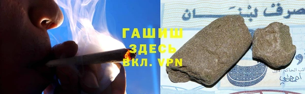 гидра Гусев