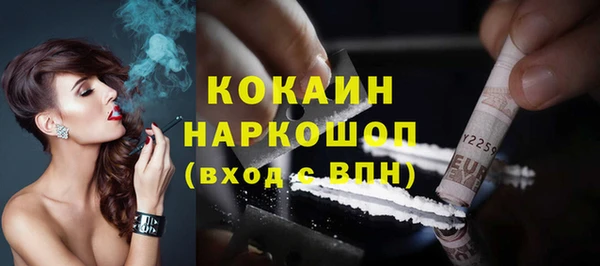 гидра Гусев