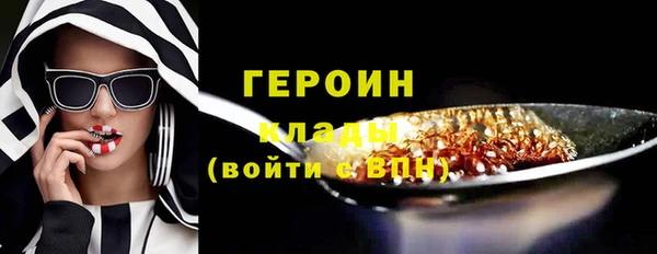 гидра Гусев