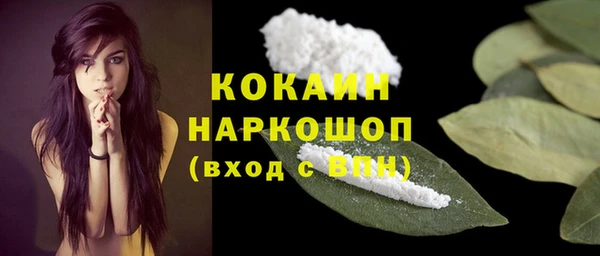 a pvp Гусь-Хрустальный