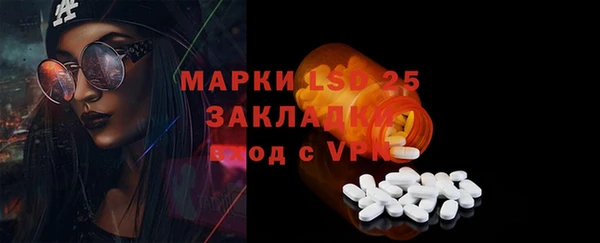 гидра Гусев
