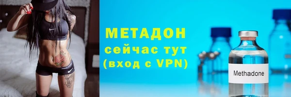 гидра Гусев