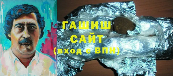 гидра Гусев