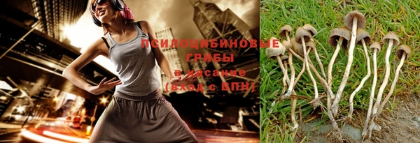 PSILOCYBIN Гусиноозёрск