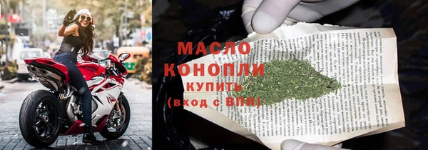гидра Гусев