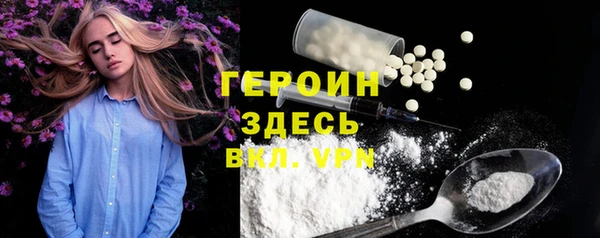 гидра Гусев