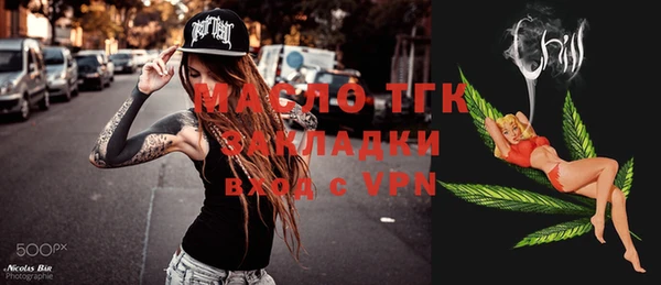 гидра Гусев