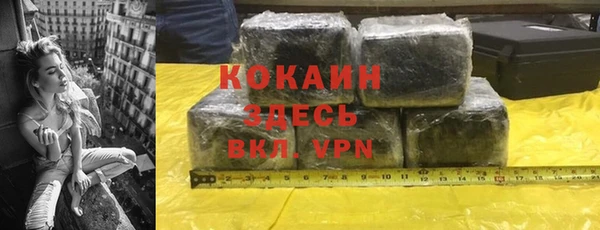 гидра Гусев