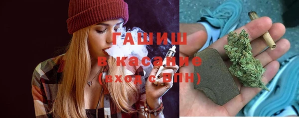 гидра Гусев